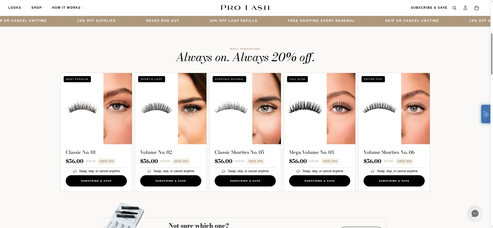 Prolash_Case_study