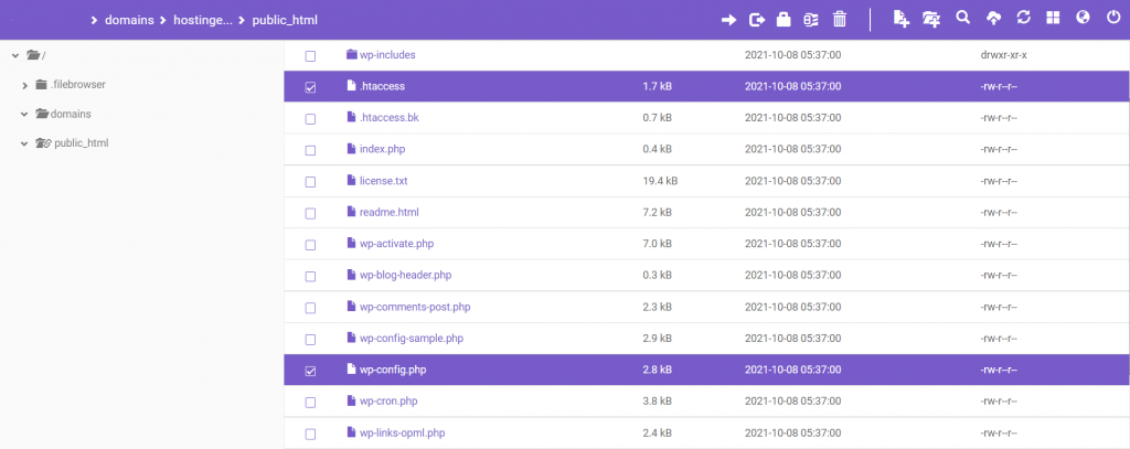 WordPress Multisite