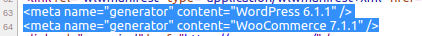 WordPress Security – Hide WP Version